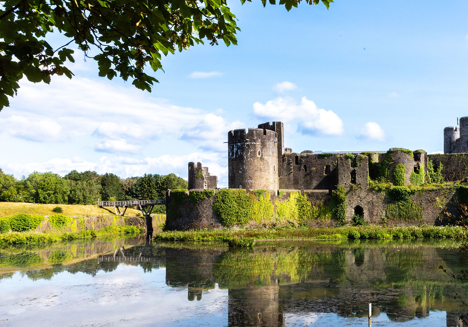 Castle-(about-page)-cropped